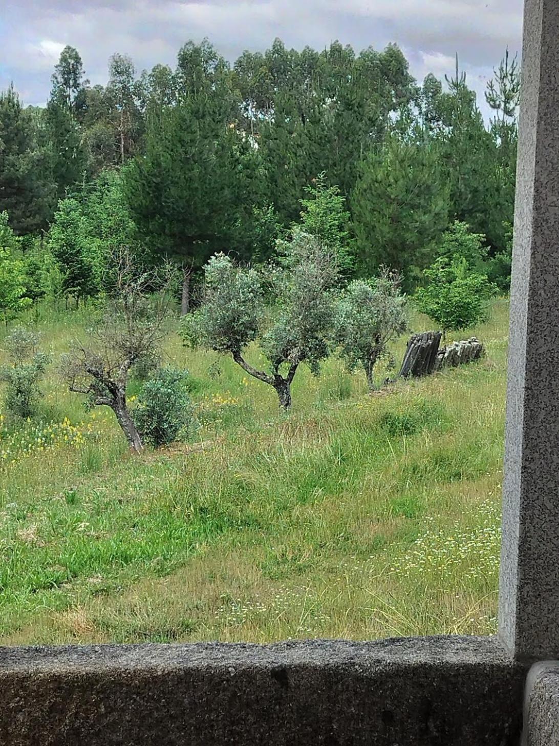 Arpuro Villa Gouveia  Bagian luar foto