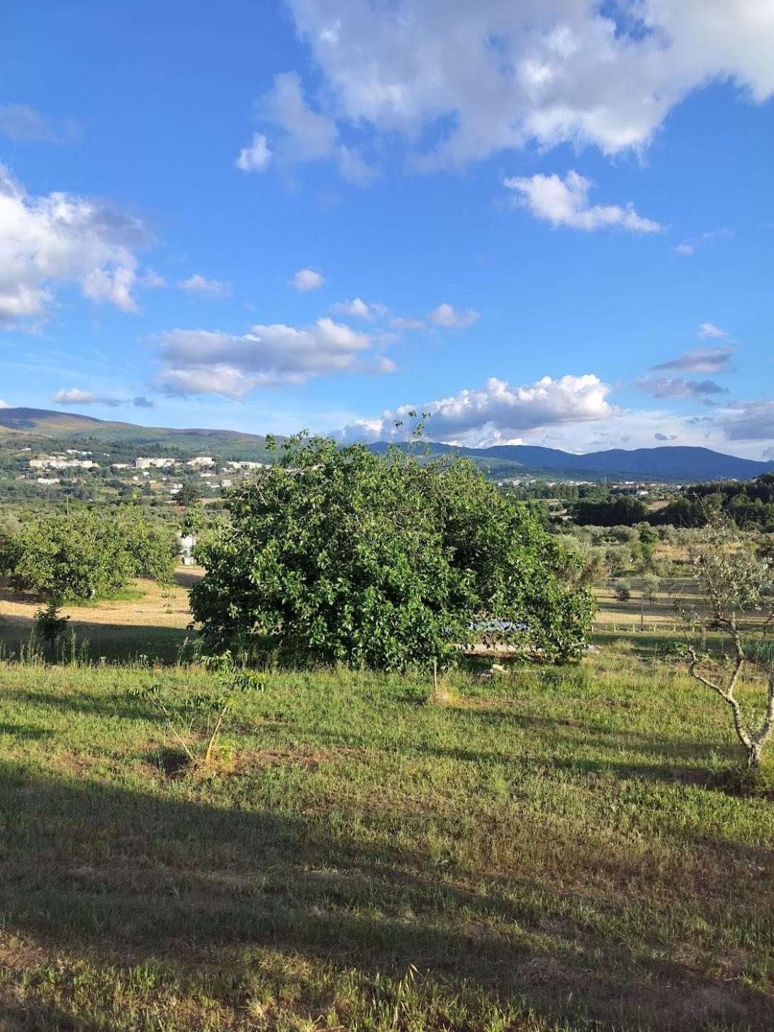 Arpuro Villa Gouveia  Bagian luar foto