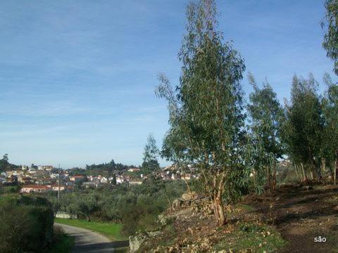 Arpuro Villa Gouveia  Bagian luar foto